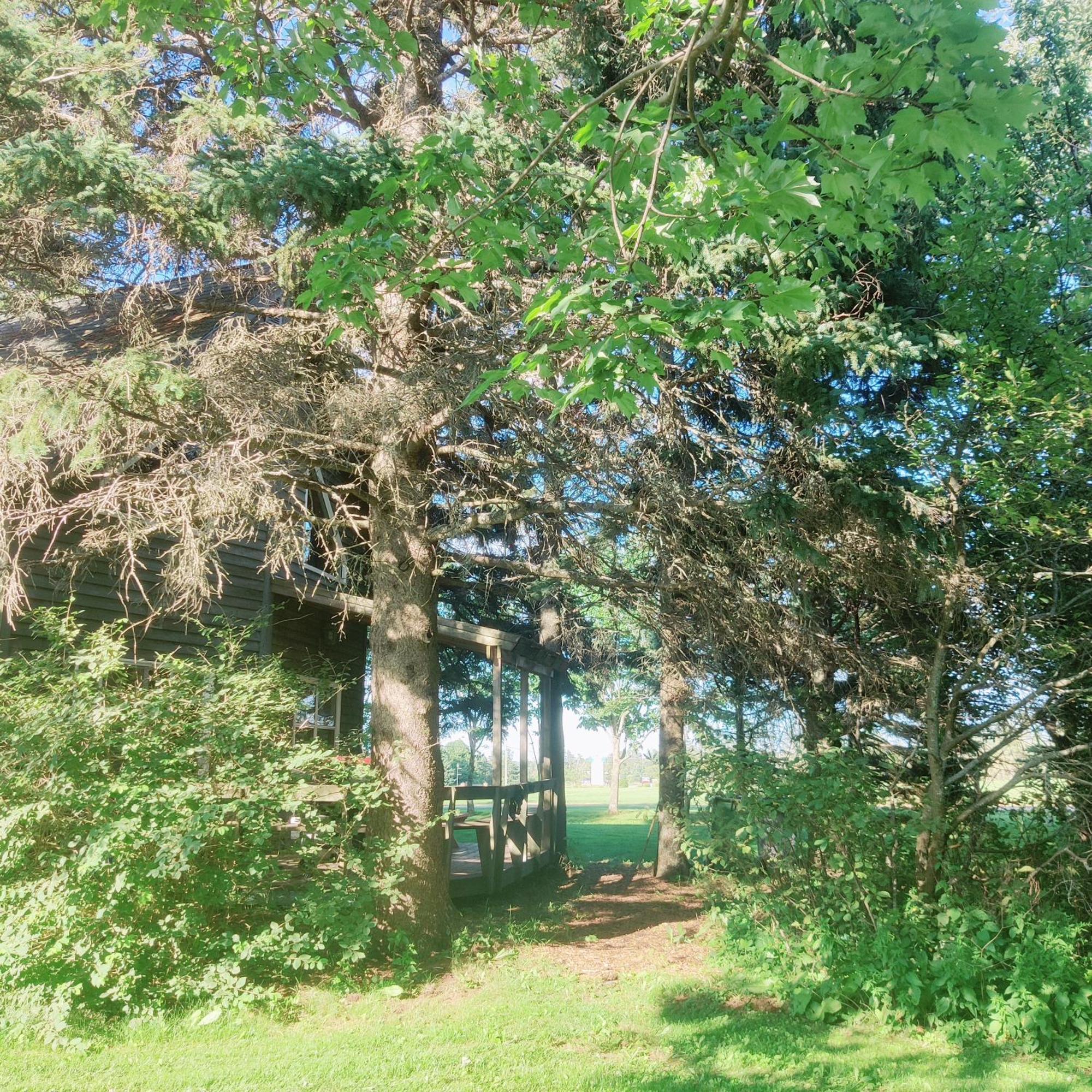 Avonlea Forest Hill Cottages New Glasgow Esterno foto
