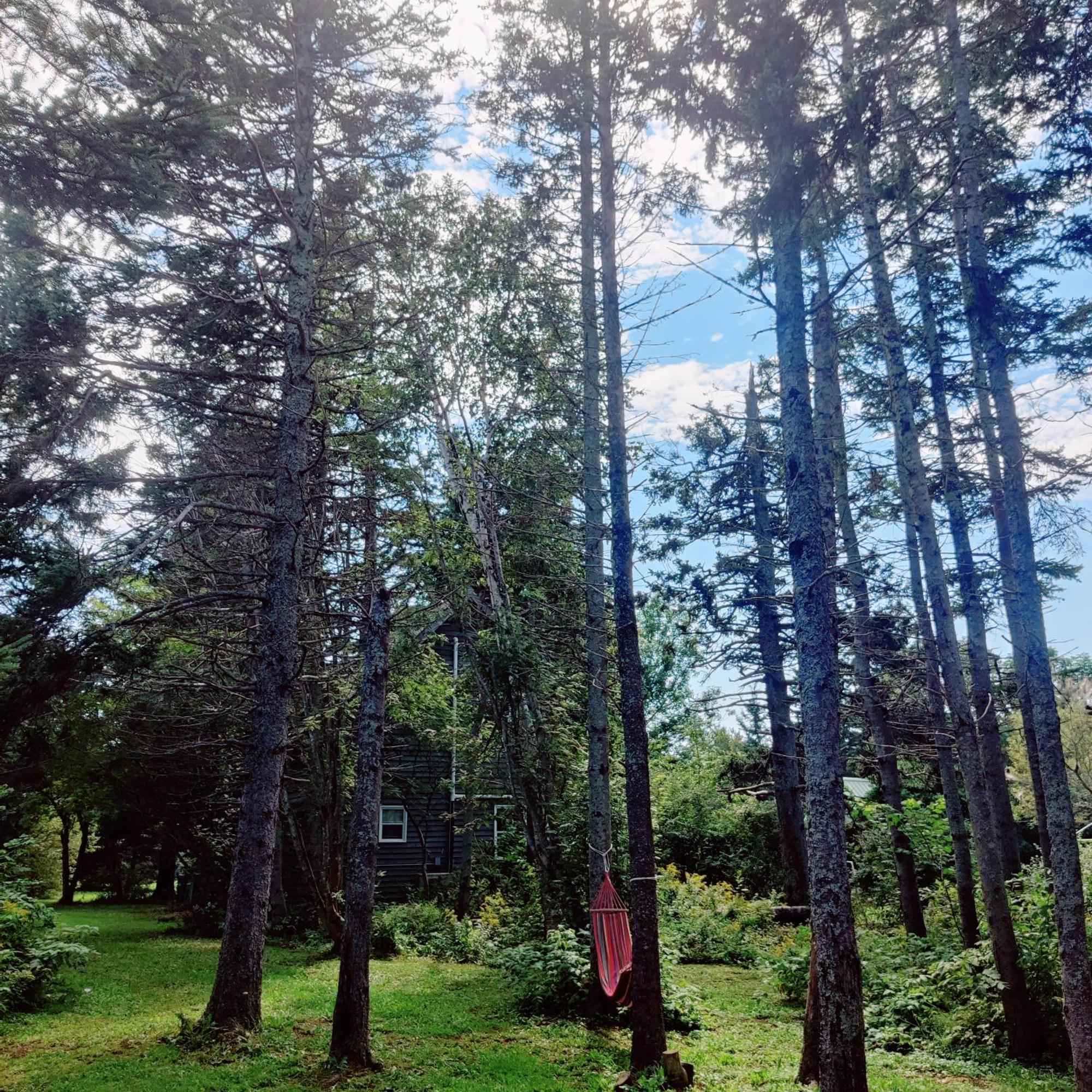 Avonlea Forest Hill Cottages New Glasgow Esterno foto